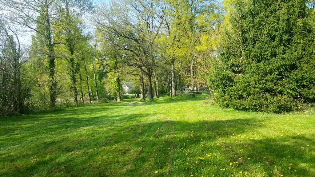 Camping De La Reuille Flere-la-Riviere Екстер'єр фото